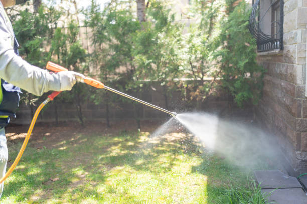 Best Mosquito Control  in Pawtucket, RI